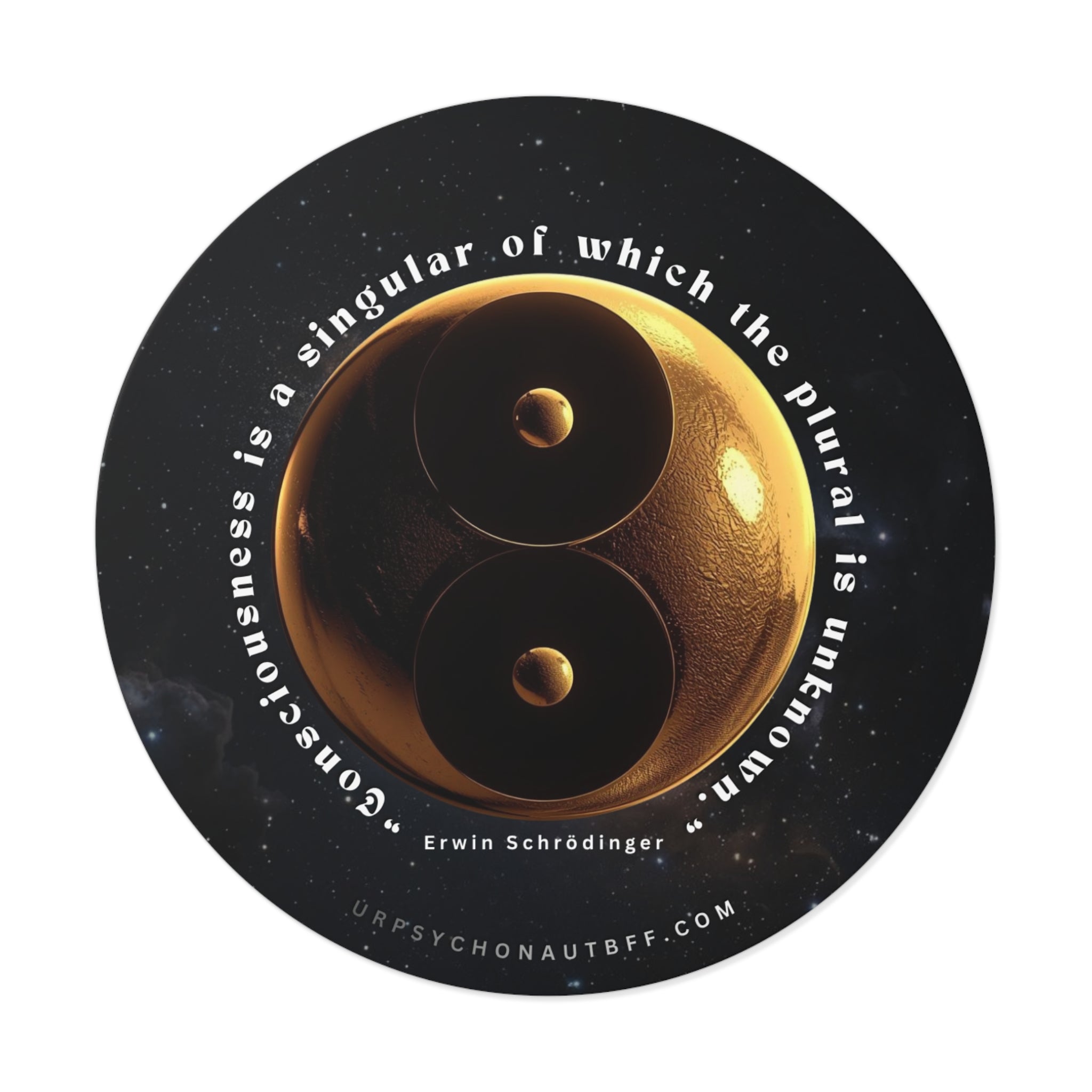 "Consciousness is a singular" Erwin Schrödinger Quote Water-Resistant Sticker